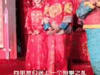 山东比淘网络科技有限公司