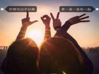 山东比淘网络科技有限公司