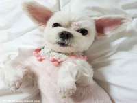 山东比淘网络科技有限公司