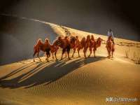 山东比淘网络科技有限公司