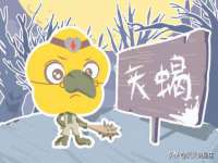 山东比淘网络科技有限公司