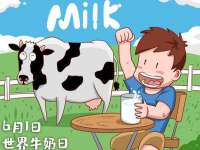 山东比淘网络科技有限公司