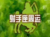 山东比淘网络科技有限公司