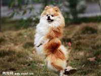山东比淘网络科技有限公司