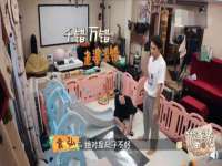 山东比淘网络科技有限公司