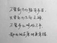 山东比淘网络科技有限公司